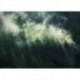 Mural LANDSCAPE X7-1003 Misty Crowns