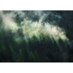Fotomural LANDSCAPE X7-1003 Misty Crowns