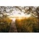 Fotomural LANDSCAPE X8-052 Lakeside