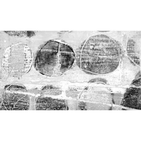 Mural ROSWITHA HUBER RH-0008 Rolls Rolling Grey White