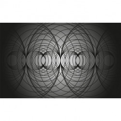 Fotomural ROSWITHA HUBER RH-1178 Infinite Glimpse Net Black Grey Black
