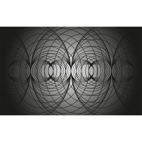 Mural ROSWITHA HUBER RH-1178 Infinite Glimpse Net Black Grey Black