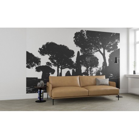 Fotomural ROSWITHA HUBER RH-1336 Pine Trees Black White