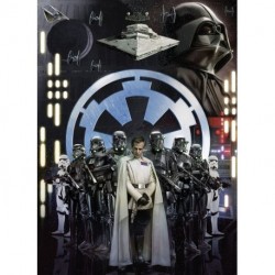 Fotomural STAR WARS by KOMAR 009-DVD2 Star Wars Empire