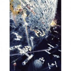 Fotomural STAR WARS by KOMAR 012-DVD2 Star Wars Classic Dogfight
