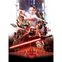 Mural STAR WARS by KOMAR 4-4113 STAR WARS Movie Poster Rey