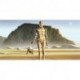 Mural STAR WARS by KOMAR DX10-051 Star Wars Classic RMQ Droids