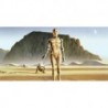 Mural STAR WARS by KOMAR DX10-051 Star Wars Classic RMQ Droids
