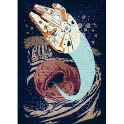 Mural STAR WARS by KOMAR DX4-035 Star Wars Classic Concrete Asteroid Worm