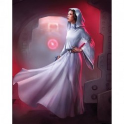 Fotomural STAR WARS by KOMAR DX4-046 Star Wars Classic Leia