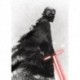 Mural STAR WARS by KOMAR DX4-074 Star Wars Kylo Vader Shadow