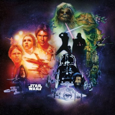 Fotomural STAR WARS by KOMAR DX5-044 Star Wars Classic Poster Collage