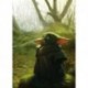 Mural STAR WARS by KOMAR IADX4-018 Mandalorian Grogu Acrylic