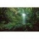 Fotomural STEFAN HEFELE FLORAL AND WELLNESS SHX9-125 Secret Veil