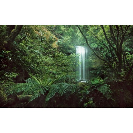 Fotomural STEFAN HEFELE FLORAL AND WELLNESS SHX9-125 Secret Veil