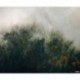 Fotomural STEFAN HEFELE PSH036-VD3 Tales Of The Carpathians