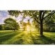 Fotomural STEFAN HEFELE PSH054-VD4 Golden Moment
