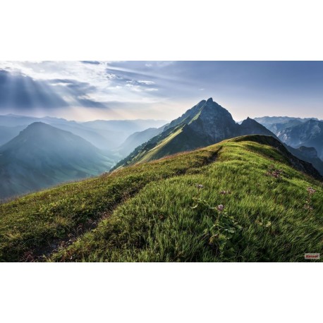 Fotomural STEFAN HEFELE PSH093-VD4 Green Vein