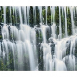 Fotomural STEFAN HEFELE SH049-VD3 Ensemble Of Veils