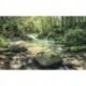 Fotomural STEFAN HEFELE SH079-VD4 Tranquil Pool