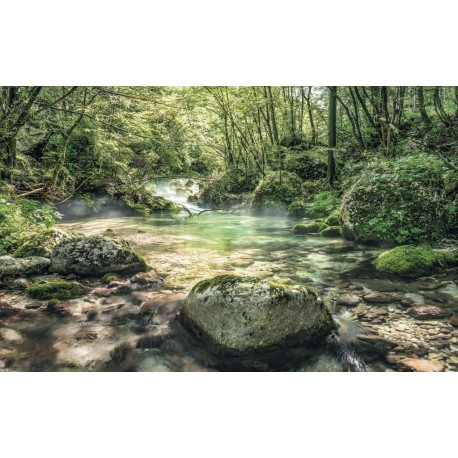 Fotomural STEFAN HEFELE SH079-VD4 Tranquil Pool