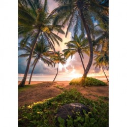 Mural STEFAN HEFELE SHX4-090 Vertical Paradise