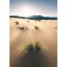 Mural STEFAN HEFELE SHX4-091 Vivid Dunes