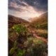 Fotomural STEFAN HEFELE SHX4-092 Warmes Licht
