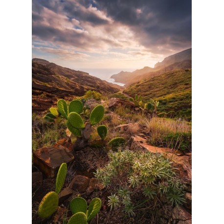 Fotomural STEFAN HEFELE SHX4-092 Warmes Licht