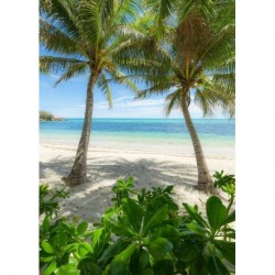 Fotomural STEFAN HEFELE SHX4-124 Palmy Beach