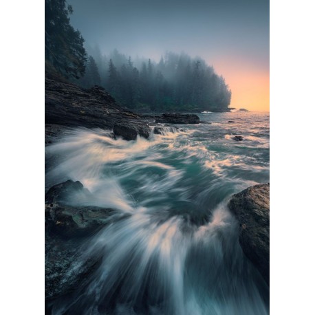 Mural STEFAN HEFELE SHX4-129 Cry Of The Sea