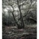 Fotomural STEFAN HEFELE SHX5-018 Das Model