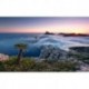 Mural STEFAN HEFELE SHX9-049 Island Paradise