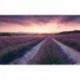 Fotomural STEFAN HEFELE SHX9-052 Lavender Dream