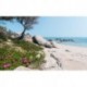 Fotomural STEFAN HEFELE SHX9-056 Mediterrane Traume