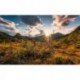 Mural STEFAN HEFELE SHX9-060 Norwegische Herbstwelten