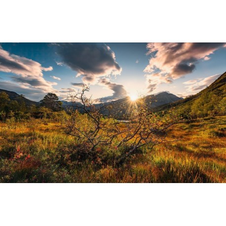 Mural STEFAN HEFELE SHX9-060 Norwegische Herbstwelten