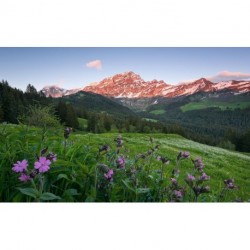 Mural STEFAN HEFELE SHX9-069 Picturesque Switzerland