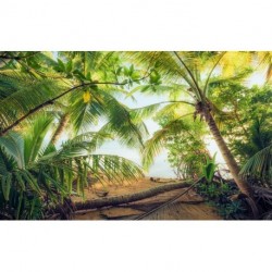 Fotomural STEFAN HEFELE SHX9-070 Piratenversteck