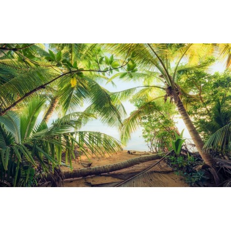 Fotomural STEFAN HEFELE SHX9-070 Piratenversteck