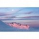 Mural STEFAN HEFELE SHX9-074 Purple Dinner