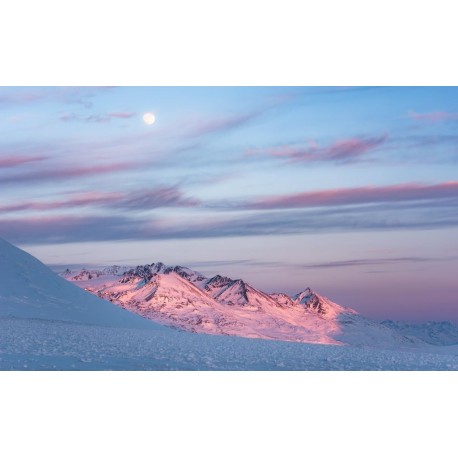 Fotomural STEFAN HEFELE SHX9-074 Purple Dinner