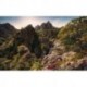 Mural STEFAN HEFELE SHX9-075 Rainbow Lands