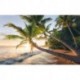 Mural STEFAN HEFELE SHX9-082 Strandgeheimnis