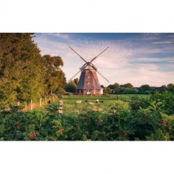 Mural STEFAN HEFELE SHX9-083 Tage Wie Diese