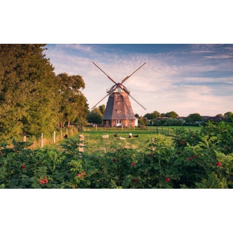 Mural STEFAN HEFELE SHX9-083 Tage Wie Diese