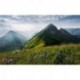 Mural STEFAN HEFELE SHX9-088 The Green Queen