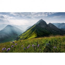 Mural STEFAN HEFELE SHX9-088 The Green Queen