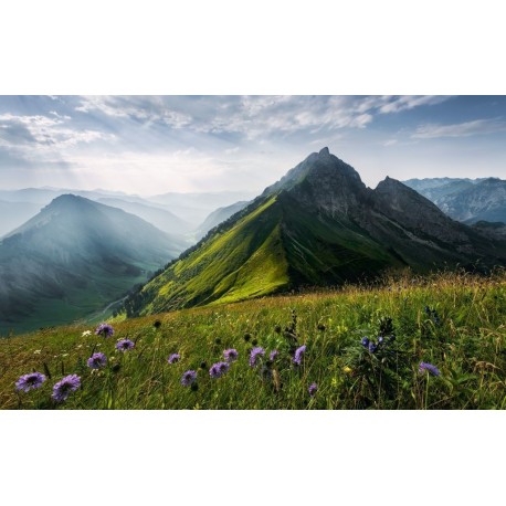 Mural STEFAN HEFELE SHX9-088 The Green Queen