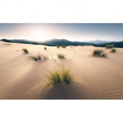 Fotomural STEFAN HEFELE SHX9-091 Vivid Dunes